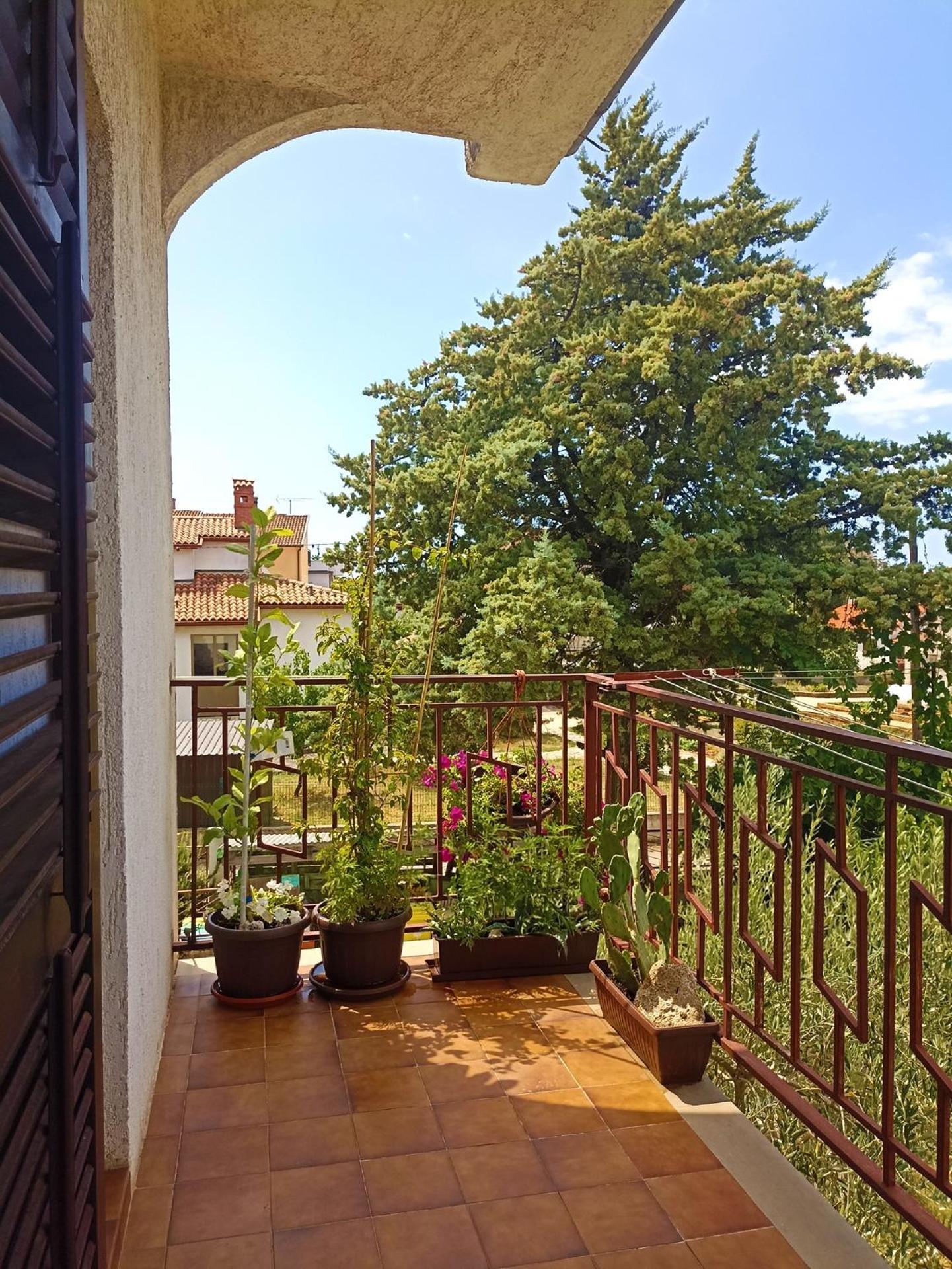Apartments Villa Laura Пула Экстерьер фото