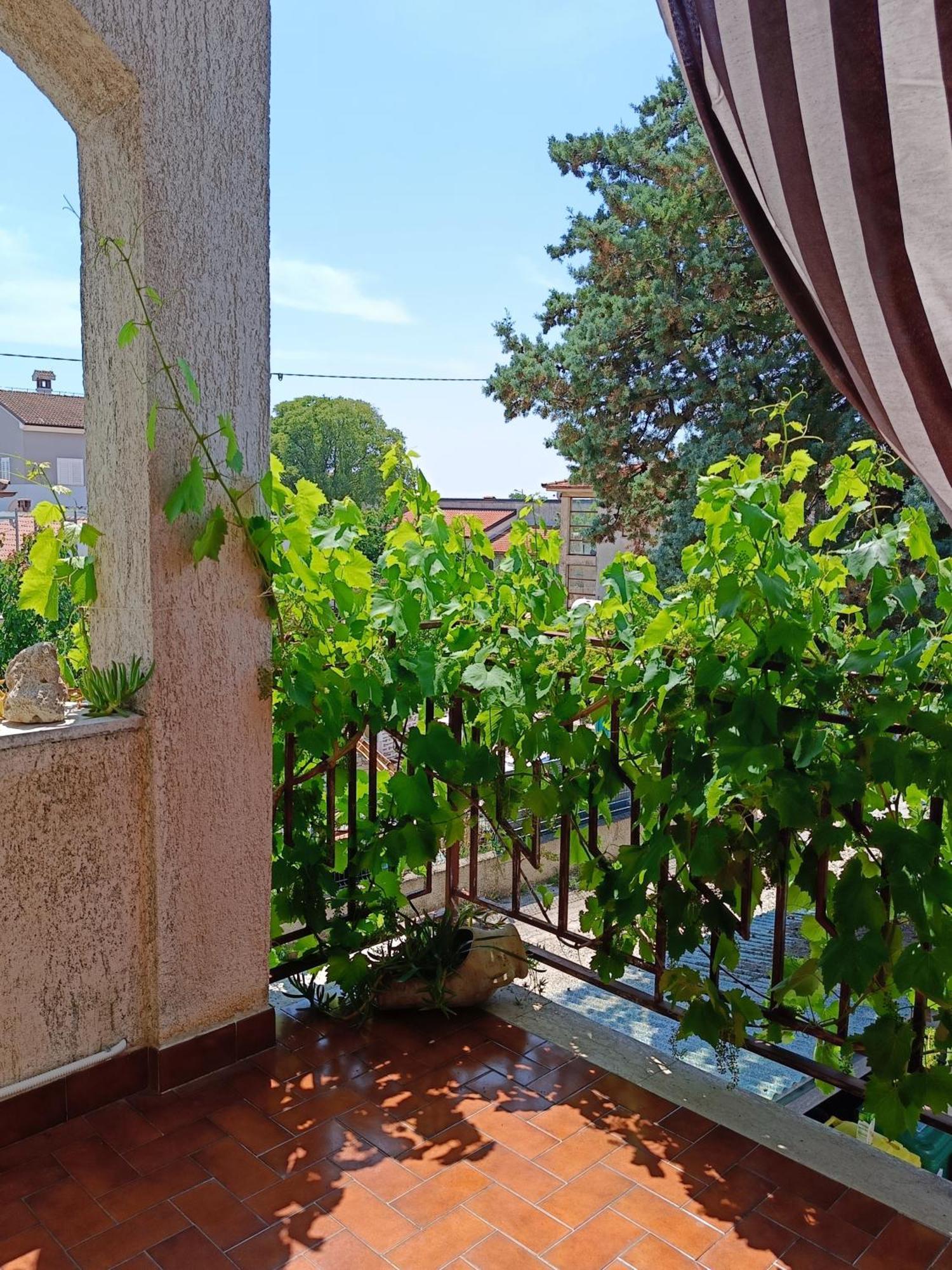 Apartments Villa Laura Пула Экстерьер фото